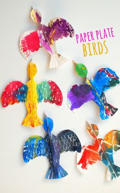 colorful paper plate birds are arranged in a circle