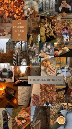 a collage of photos with autumn colors