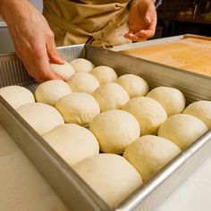 Sourdough Milk Bread Rolls | Brod & Taylor Milk Bread Rolls, Sourdough Dinner, Sourdough Dinner Rolls, Hokkaido Milk Bread, Thanksgiving 2022, Homemade Sourdough Bread, Milk Bread, Sourdough Recipes