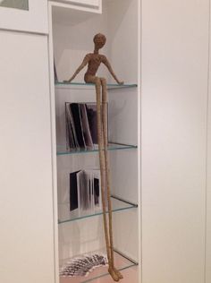 a glass shelf with a human figure in it's center and books on the shelves