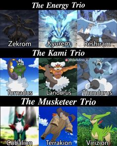 pokemon memes that are all in different colors and sizes, with the names on them