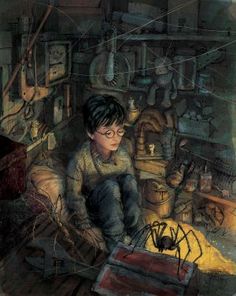 a boy sitting on the floor in front of a box with a spider crawling inside