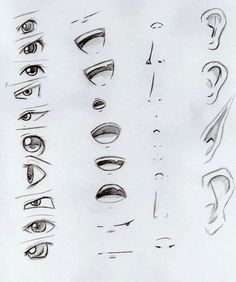 an image of different types of eyes drawn by someone's hand on the screen