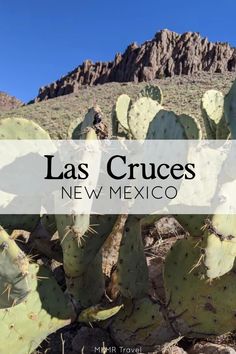 a large cactus with the words las cruces new mexico in front of it