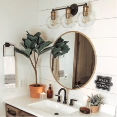 a bathroom sink with a mirror above it and a potted plant on the counter