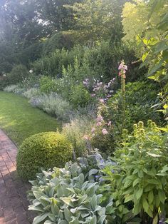 a garden with lots of green plants and flowers