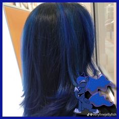 Anime Inspired Hair Color, Blue Calico Hair, Blue Purple Peekaboo Hair, Blue Hair With Purple Streaks, Teal Underneath Hair, Orange And Teal Hair, Mlp Inspired Hair, Mlp Hair Ideas, Fun Dark Hair Color Ideas