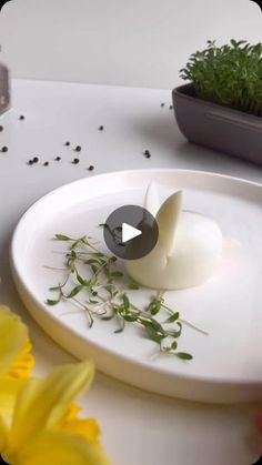 a white plate topped with green plants on top of a table