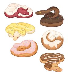 an assortment of donuts on a white background