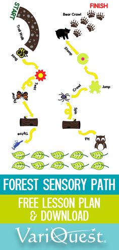 the forest sensory path for children to learn how to write and draw with their hands