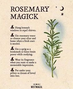 Rosemary Wreath For Protection, Tree Witchcraft, Magic Spell Book, Magic Herbs, Magical Herbs, Wiccan Spell Book