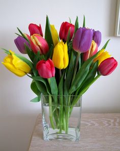 a glass vase filled with lots of colorful tulips