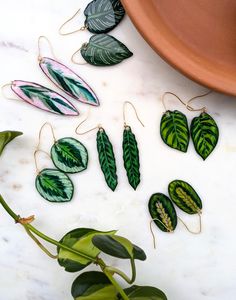 Hand-drawn Calathea plant earrings made on shrink plastic and coated with resin. Hand crafted 18K gold plated earring hooks including rubber backing. Houseplant Earrings, Plant Earrings, Calathea Plant, Shrink Plastic, Earring Hooks, Jewelry Diy, House Plants, Jewelry Earrings Dangle, Hand Drawn