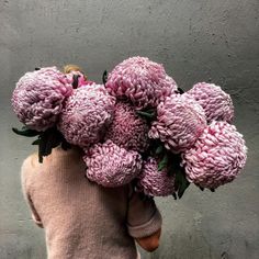 a person holding a bunch of pink flowers