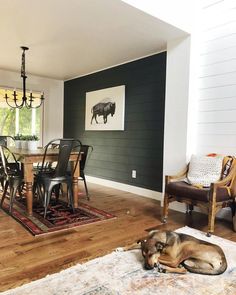 a dog laying on the floor in front of a dining room table