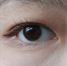 the eye of a person with brown eyes