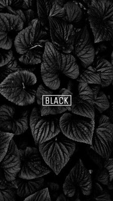 black leaves with the word black on it