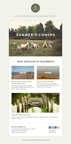 the wordpress website for summer's coming is shown in black and white, with an image of sheep grazing