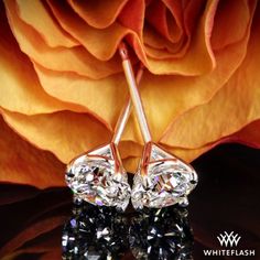 pair of diamond earrings with rose in the background