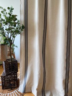 a potted plant sitting next to a white curtain