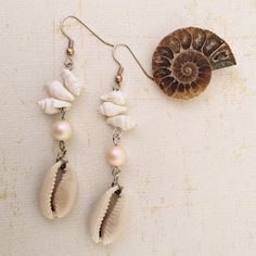 Beautiful mermaid shell and faux pearl earrings. Summer Shell Pearl Jewelry, Summer Shell-shaped Pearl Jewelry, Dangle Shell Earrings With Pearl Drop, Summer Pearl Earrings, Dangle Pearl Drop Shell Earrings, Pearl Drop Dangle Shell, Summer Pearl Earrings For Pierced Ears, White Shell Dangle Pearl Earrings, Summer Pearl Dangle Earrings