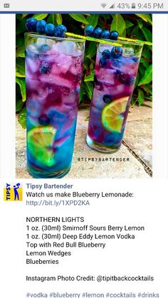 two glasses filled with blueberries and lemonade on top of a table next to plants