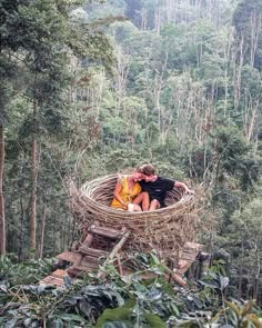 a man and woman are sitting in a bird's nest surrounded by greenery