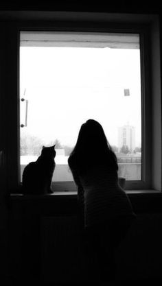 two cats sitting in front of a window looking at each other