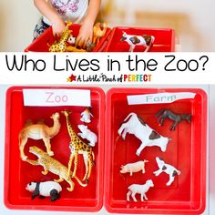 two red trays filled with toys and the words who lives in the zoo?