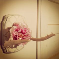 a pink flower sitting on top of a wooden branch next to a wall mounted mirror