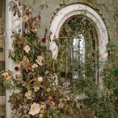 a potted plant in front of an old building with ivy growing on the walls