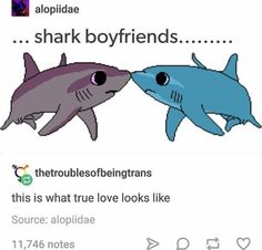 two cartoon sharks with caption that reads, shark boyfriends then true love looks like