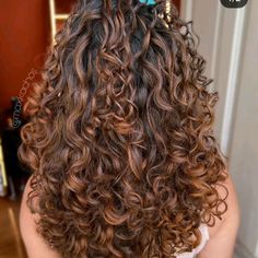 Auburn Highlights In Brown Hair Curly, Honey Highlights On Dark Hair Curly Hair, Caramel Highlights Curly, Chocolate Curly Hair, Hair Dye Balayage, Honey Caramel Highlights, Curly Color, Dyed Curly Hair, Natural Curly Hair Cuts