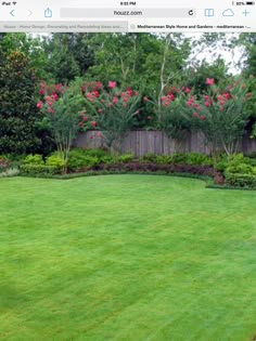 an image of a large yard with flowers in the background