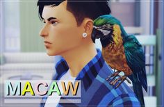 a man with a bird on his shoulder and the words macaw in front of him