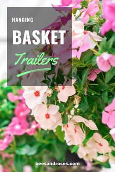 pink and white flowers with the words hanging basket trailers