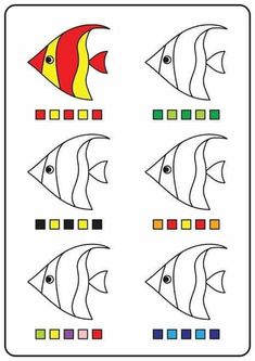 an image of fish in different colors