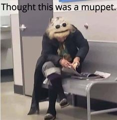 a person sitting on a bench with a stuffed animal in front of them and the caption says, thought this was a puppett