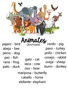 an animal chart with animals and their names in english, spanish, and german words