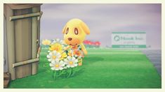 a yellow dog standing next to a bunch of daisies in front of a building