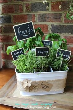 a potted plant sitting on top of a wooden table next to a brick wall