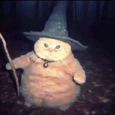 a cat wearing a witches hat and holding a stick