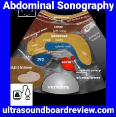 an image of a diagram of the stomach and its corresponding organs with text above it