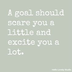 a quote that says, a goal should scare you a little and excite you a lot