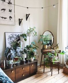 a living room filled with lots of potted plants on top of wooden tables and chairs