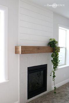 a living room with a fire place and a plant on the mantel above it