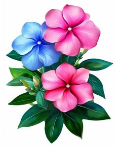 three pink and blue flowers with green leaves