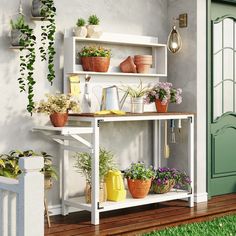 a shelf filled with potted plants on top of a wooden floor next to a green door