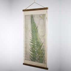 a green fern leaf hanging on a white wall