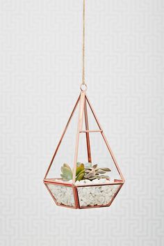 a hanging planter filled with succulents and rocks